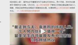 央视爆料偷钱案件最新进展,嫌疑人落网，案情细节披露